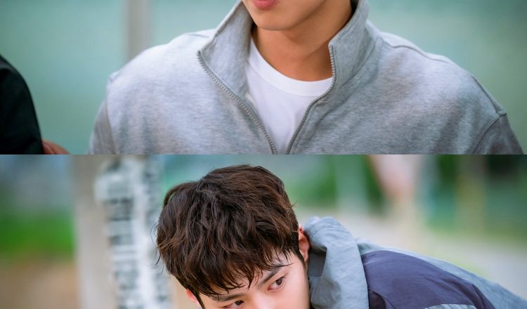 Park Bo-gum makes his first attempt in the youth action genre with ‘Good Boy’… ‘Yoon Dong-joo’ who proves justice with his body.