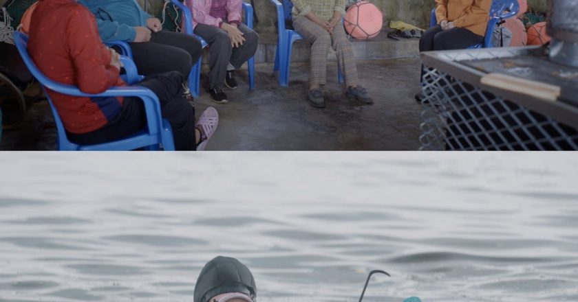 The reason Song Ji-hyo jumped into the sea of Jeju… JTBC·BBC joint documentary ‘Haenyeo Adventure’ first broadcast on the 15th.